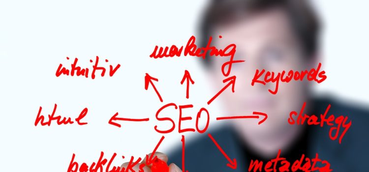 seo specialista